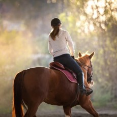 Horse Riding  | Daytime Activities, Experiences, Tours and Events | Weekend In Riga | Quick Quote | Weekend In Riga