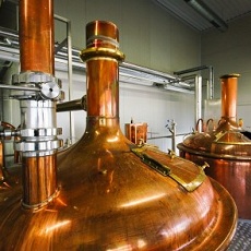 Ingredients | Riga Brewery Tour | Day Activities | Weekend In Riga
