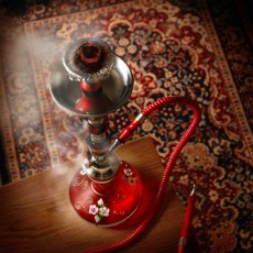  | Riga Tea and Shisha session  | Day Activities | Weekend In Riga