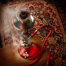  | Riga Tea and Shisha session  | Day Activities | Weekend In Riga